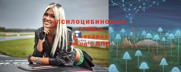 гашик Богородск