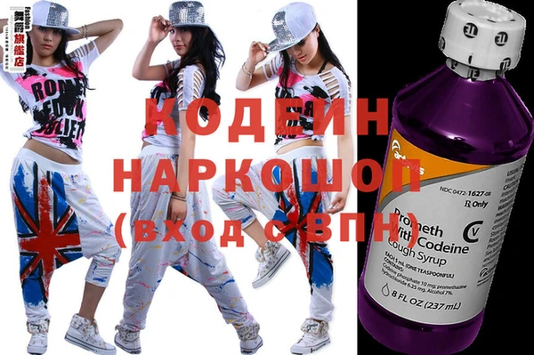 прущий лед Богданович