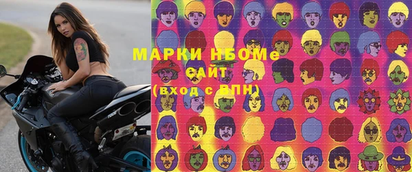 прущий лед Богданович