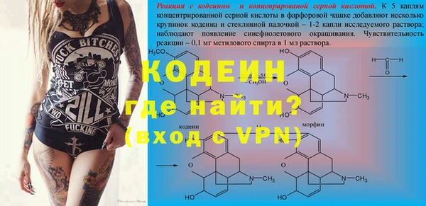прущий лед Богданович