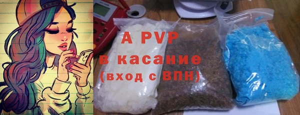прущий лед Богданович