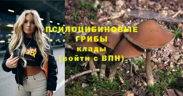 прущий лед Богданович