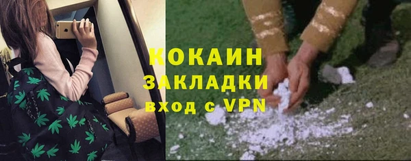 гашик Богородск